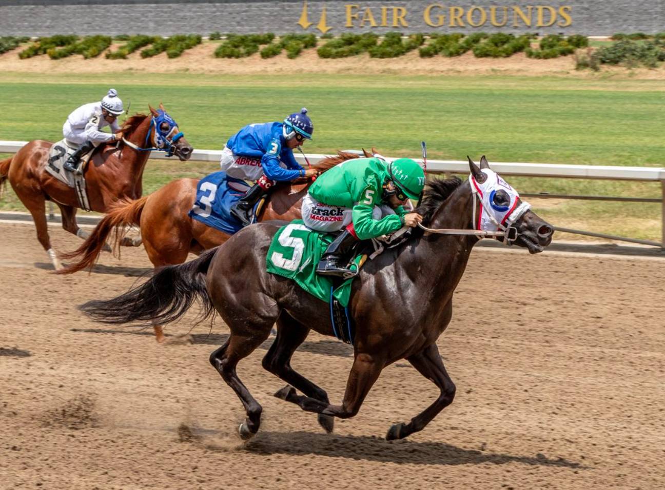 Apuestas de caballos internacionales: Datos Fair Grounds MasterBets365.com